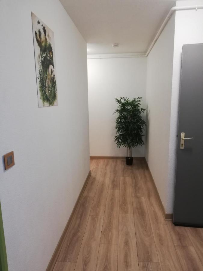 Grand T3 Avec Clim, Parking Et Terrasse Privative - Agen公寓 外观 照片